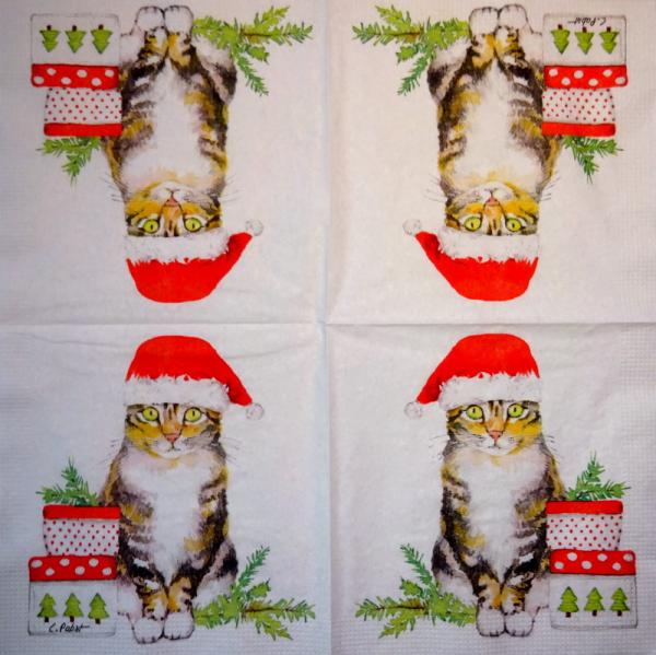KAT-955 Cats - 3-ply - ppd - Carola Pabst - CS